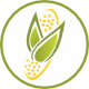 Grupo CONMASA